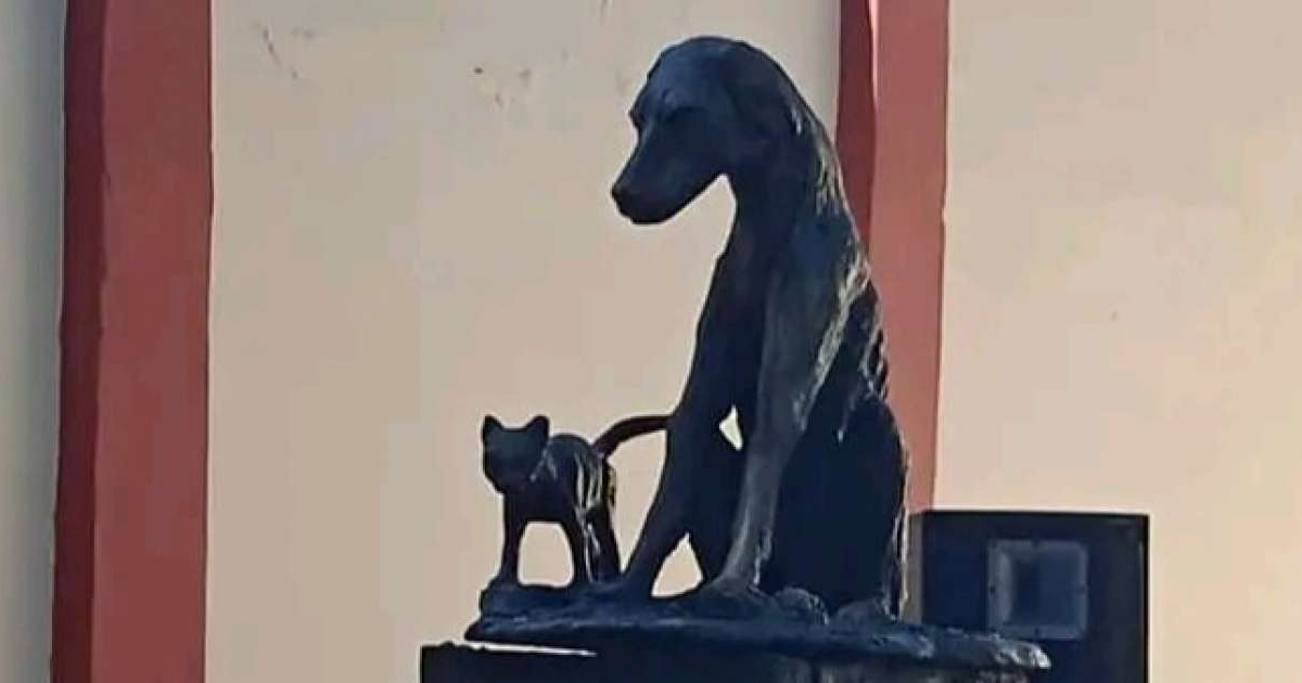 Estatua en honor a animales callejeros © Bienestar Animal Cuba / Twitter