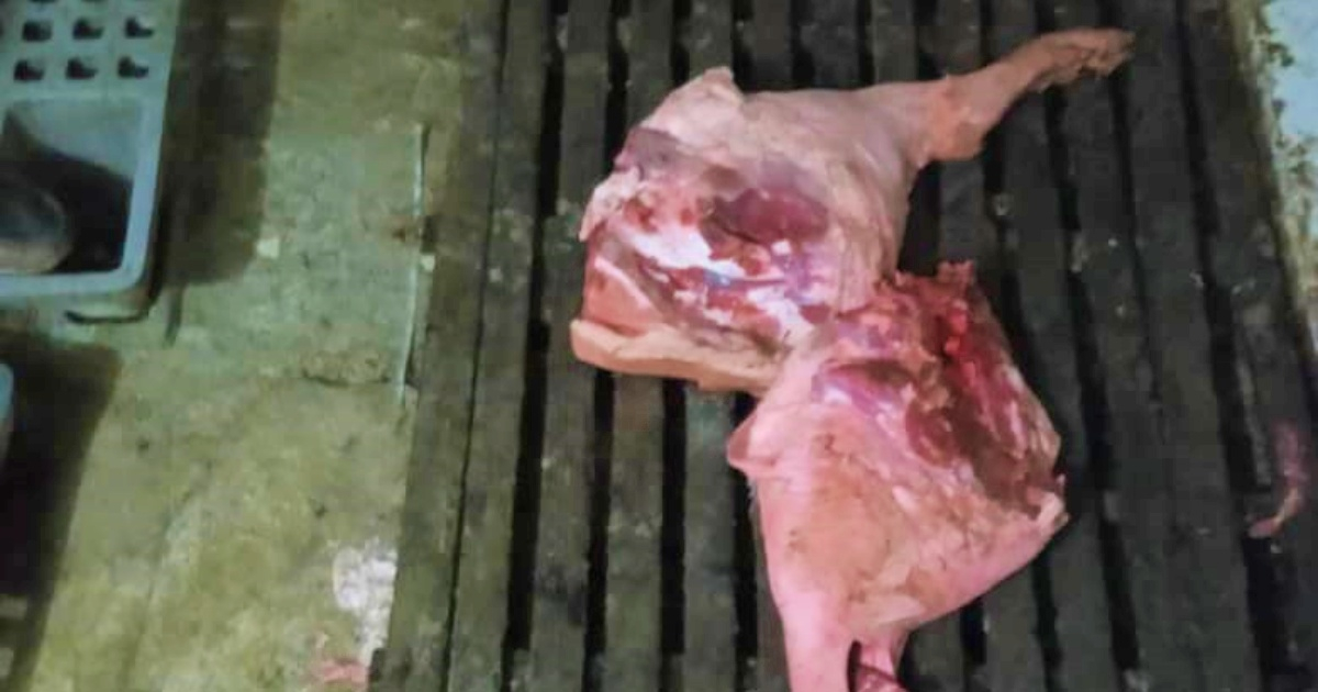 Trozo de carne de cerdo © lahabana.gob.cu