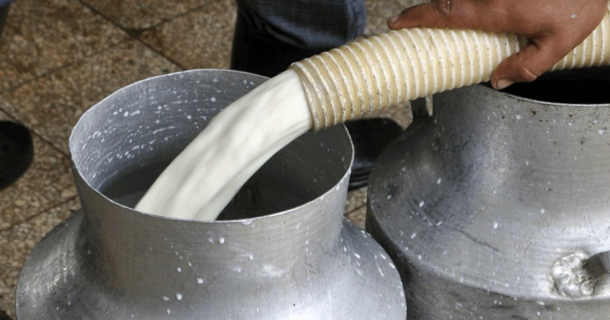 Distribución de leche en Ciego de Ávila © Invasor / Edelvis Valido Gómez