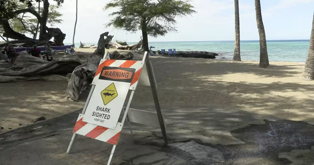 Playa de Hawái donde fue atacado el bañista © Captura de video / Hawaii news now