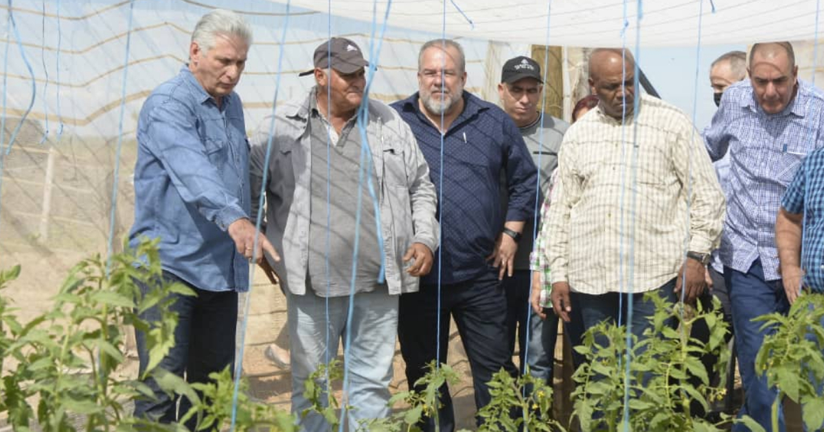 Díaz-Canel, Manuel Marrero y dirigentes en una unidad productiva © Twitter / Presidencia de Cuba