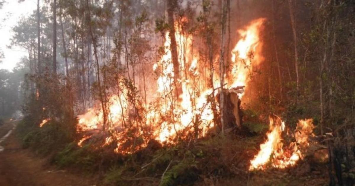 Incendio en Parque Nacional Alejandro de Humboldt © Venceremos/ Cortesía del CITMA