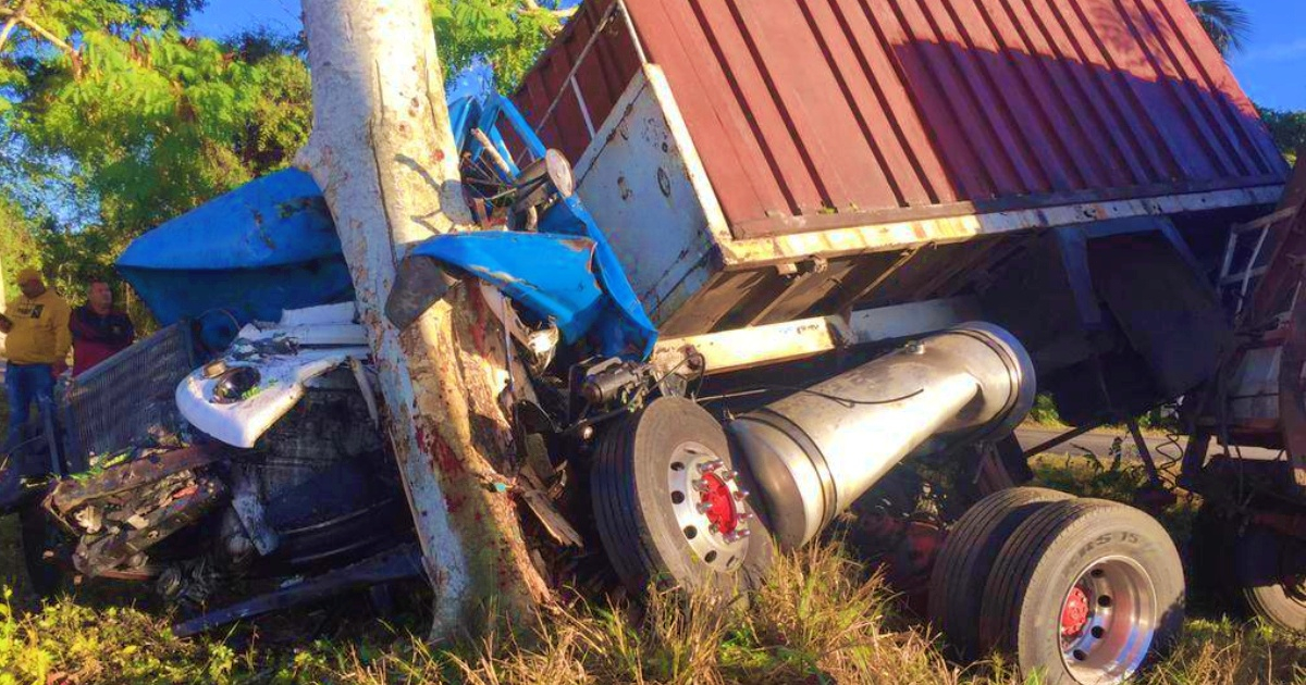 El camión impactó contra un árbol © Facebook/ Accidentes Buses & Camiones