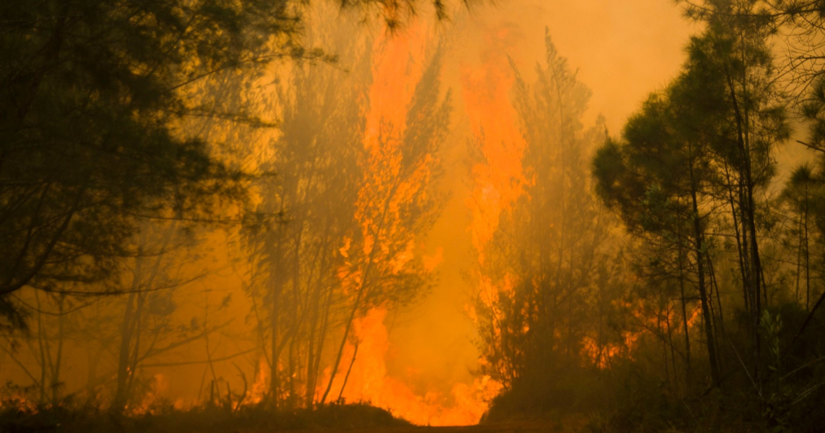 Sin control incendio forestal en Mayarí © Facebook / Emilio Rodríguez Pupo