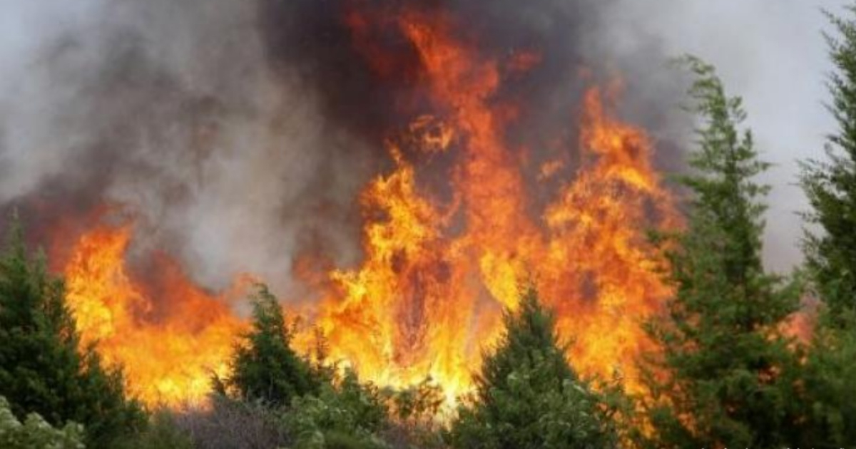 Incendios forestales en Granma © Radio Reloj