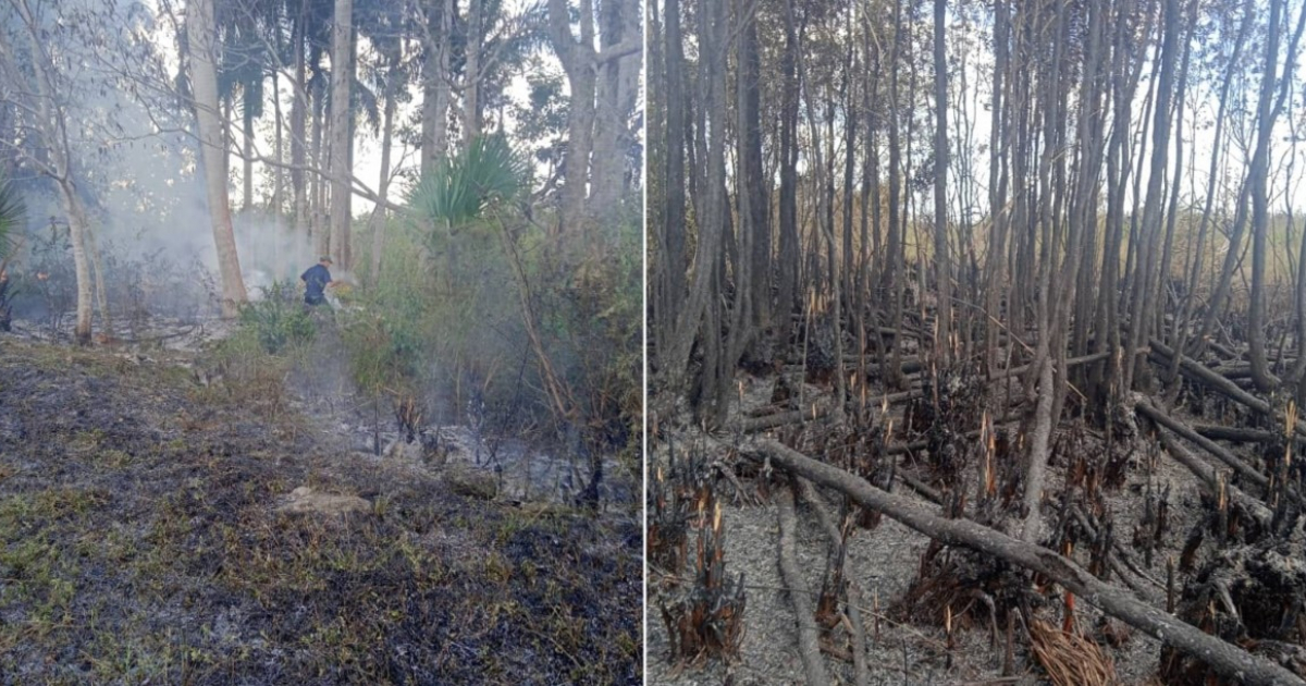 Incendio forestal en Ciénaga de Zapata © Facebook / Lázaro Manuel Alonso