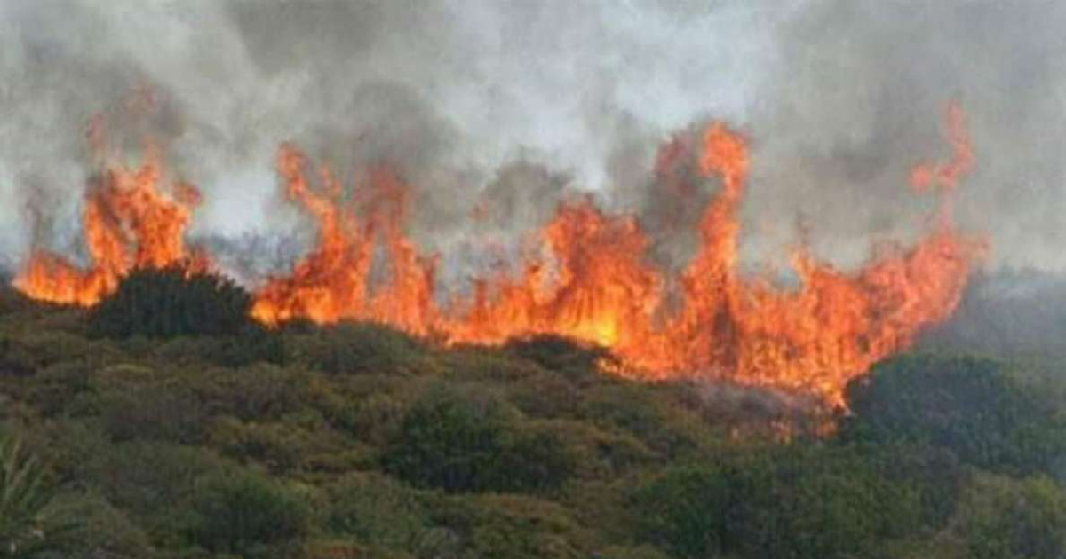 Incendio en parque nacional La Güira, en Pinar del Río © TelePinar / Twitter