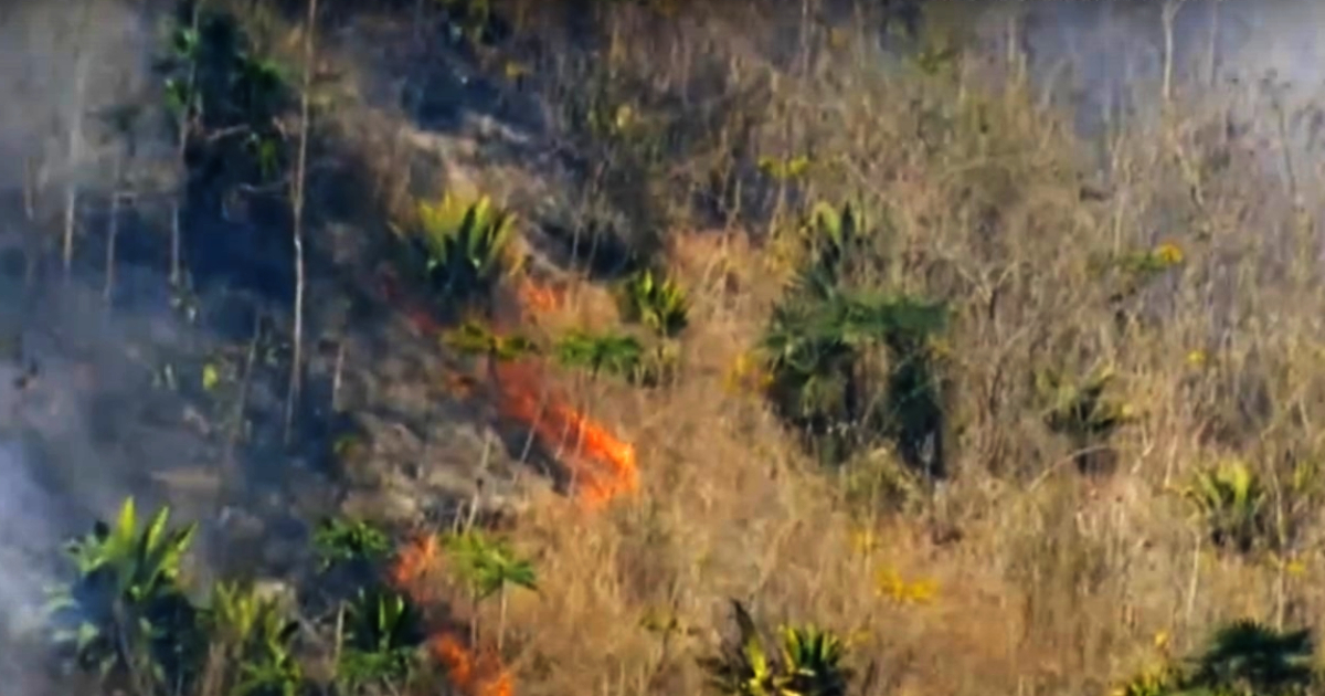 Avance de las llamas © Captura de video YouTube / Canal Caribe