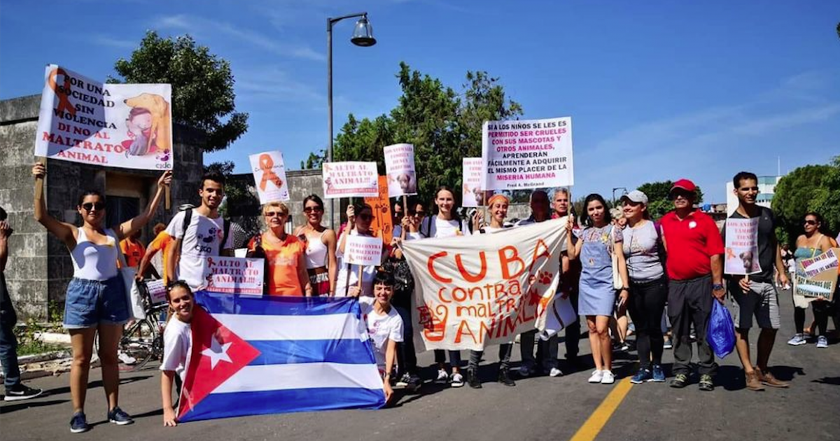 Activistas contra el maltrato animal reunidos en el Cementario de Colón en 2021 © Facebook / Cuba contra el Maltrato Animal