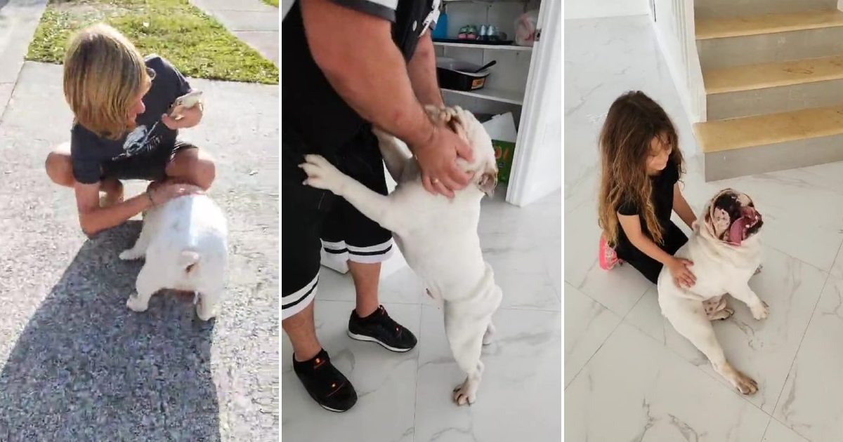 La Diosa y familia reciben a su mascota en Miami © Instagram / La Diosa