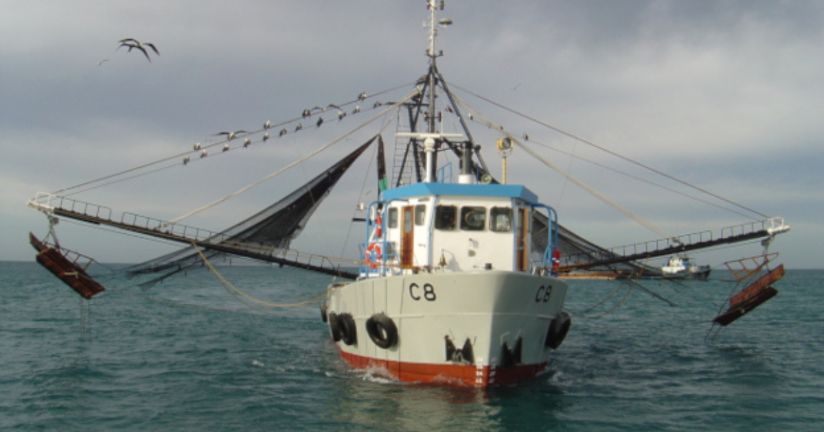 Barco camaronero © Empresa pesquero para diario "5 de Septiembre"