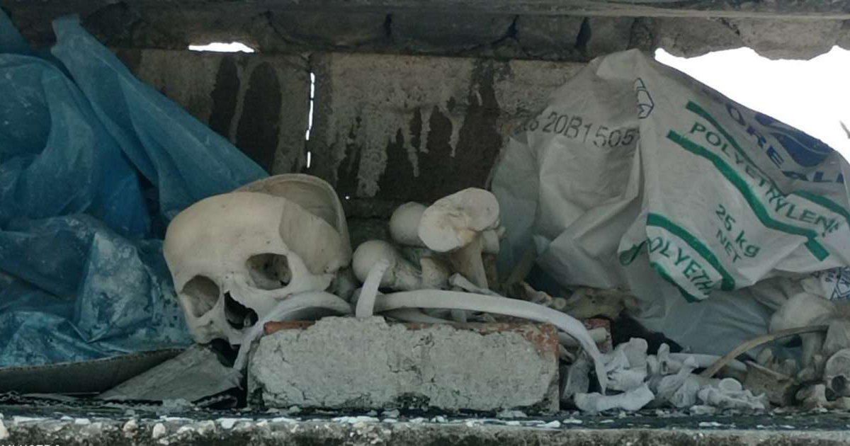 Huesos expuestos en el cementerio Mayabe de Holguín © Osmany Hechavarria / Facebook