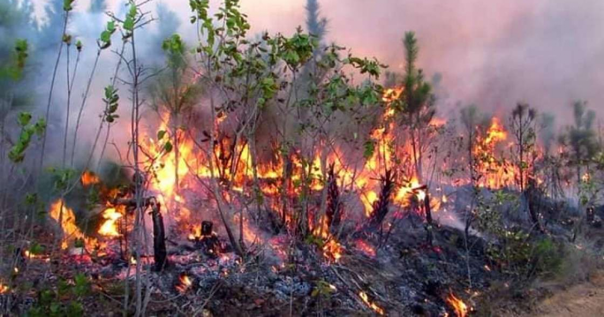 Incendio forestal en Pinar del Río © Tele Pinar / Facebook