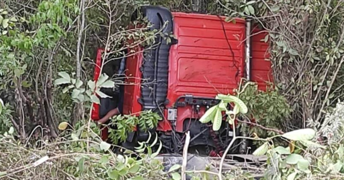 El camión accidentado quedó volcado en medio de la maleza © Facebook/ Accidentes Buses & Camiones 