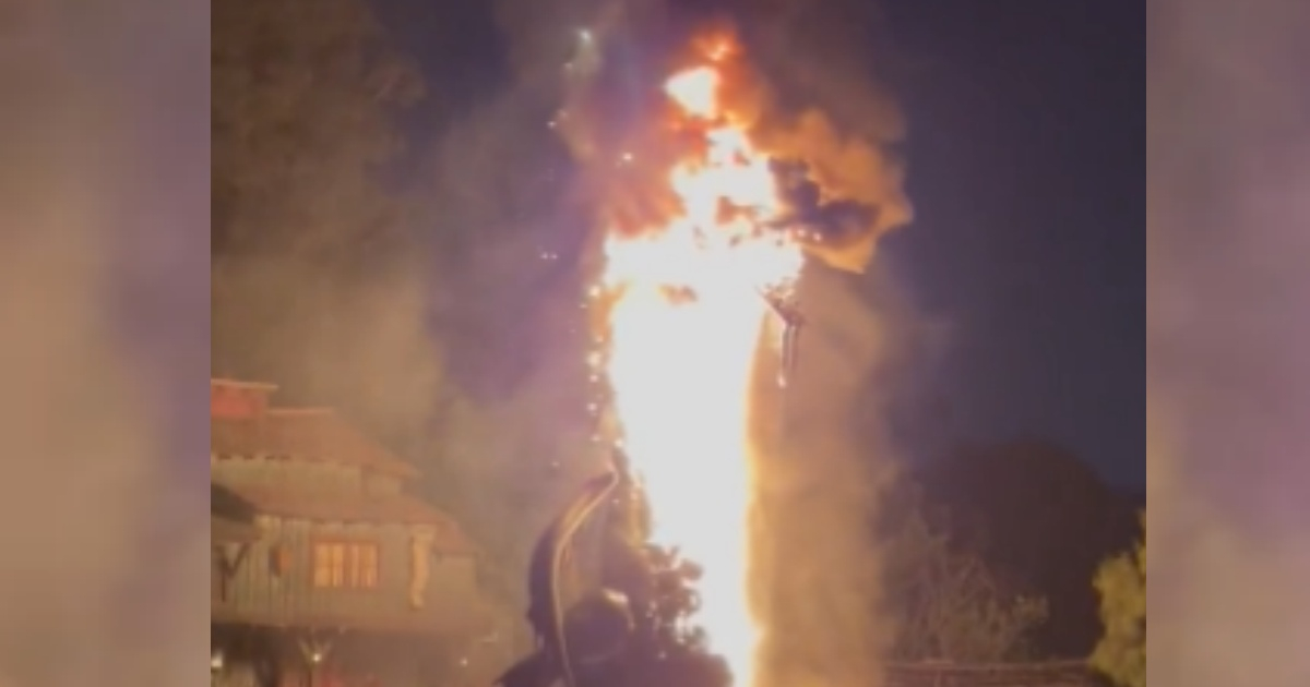 Dragón de 13 metros incendiado en Disney, California. © Captura Twitter/@Ms_JessicaT