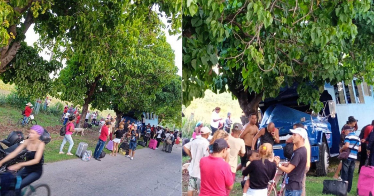 Camión de pasajeros choca con un árbol en Granma © Facebook / ACCIDENTES BUSES & CAMIONES, por más experiencia y menos víctimas