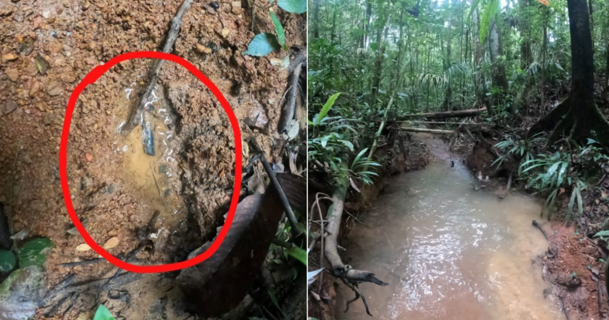 Huella encontrada y riachuelo de la selva del Caquetá © Fuerzas Militares de Colombia / Twitter