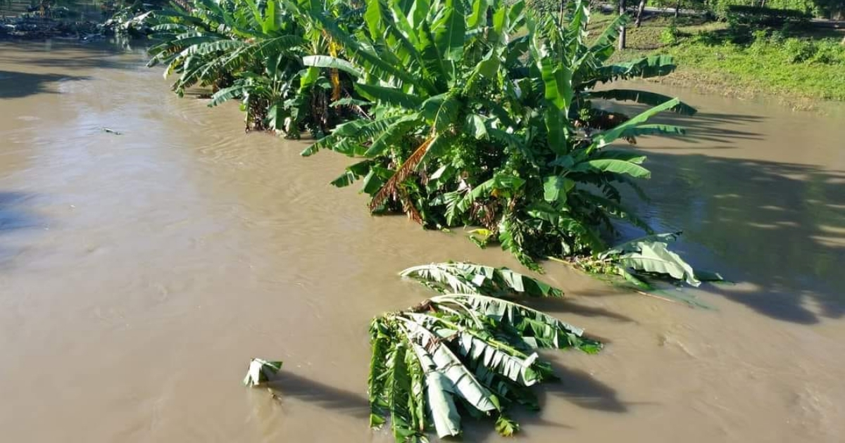 Inundaciones de sembrados en Granma © Facebook / CNC TV