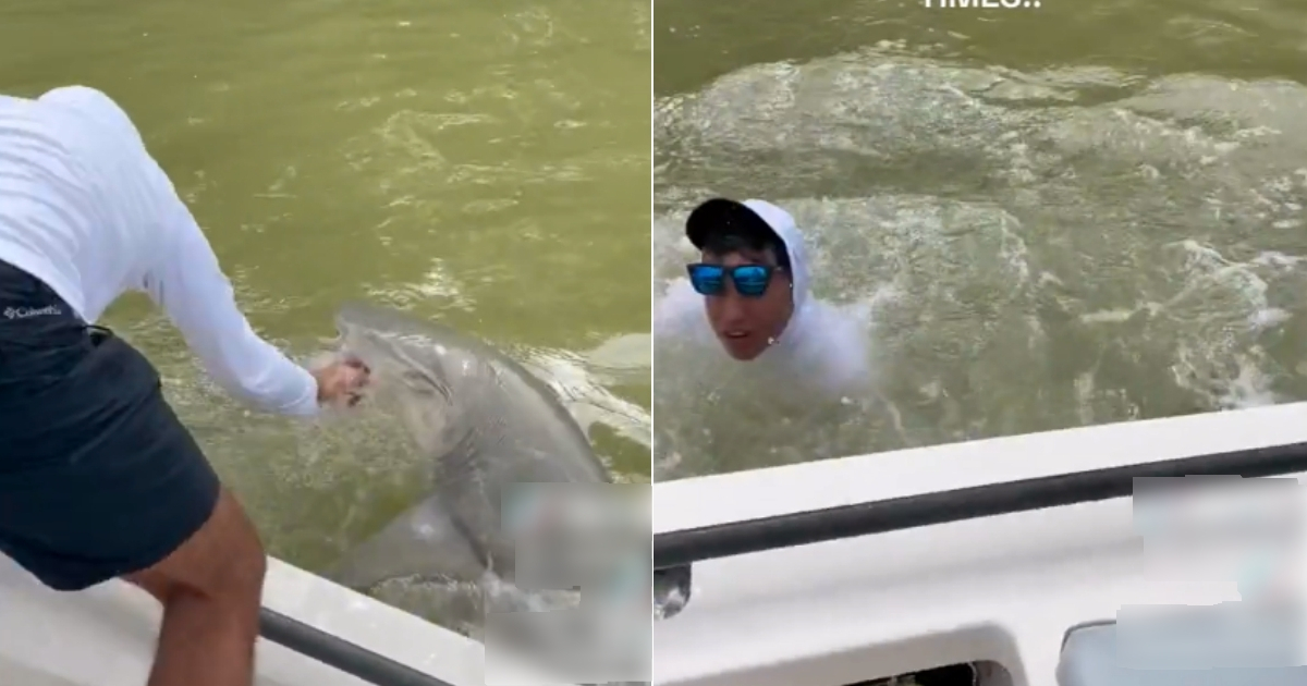 Momento en que el tiburón ataca al pescador y lo tira al gua © Captura de pantalla