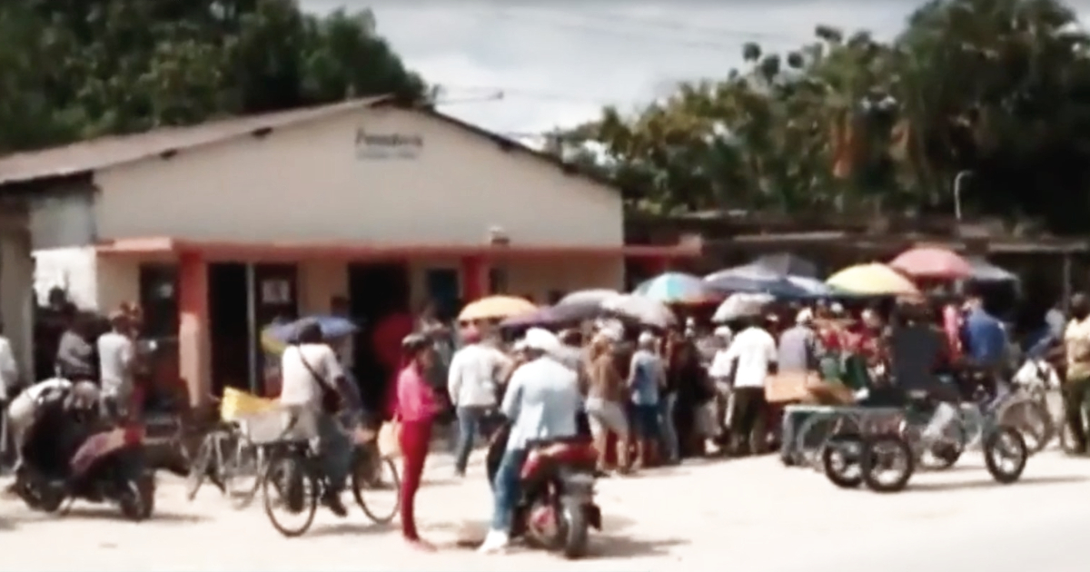 Cubanos hacen cola para comprar pan en Camagüey © Captura de video Twitter / Observatorio Cubano de Derechos Humanos