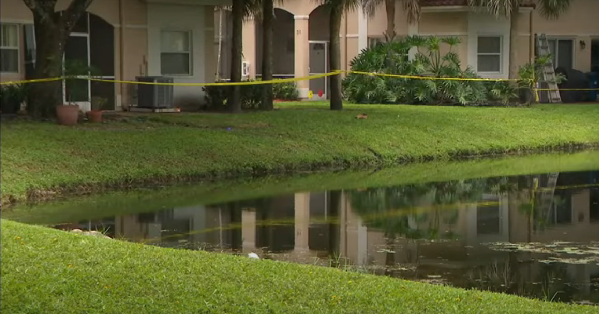 Canal en Weston, Broward, donde ocurrió el incidente © Captura de video Youtube/@WPLGLocal10