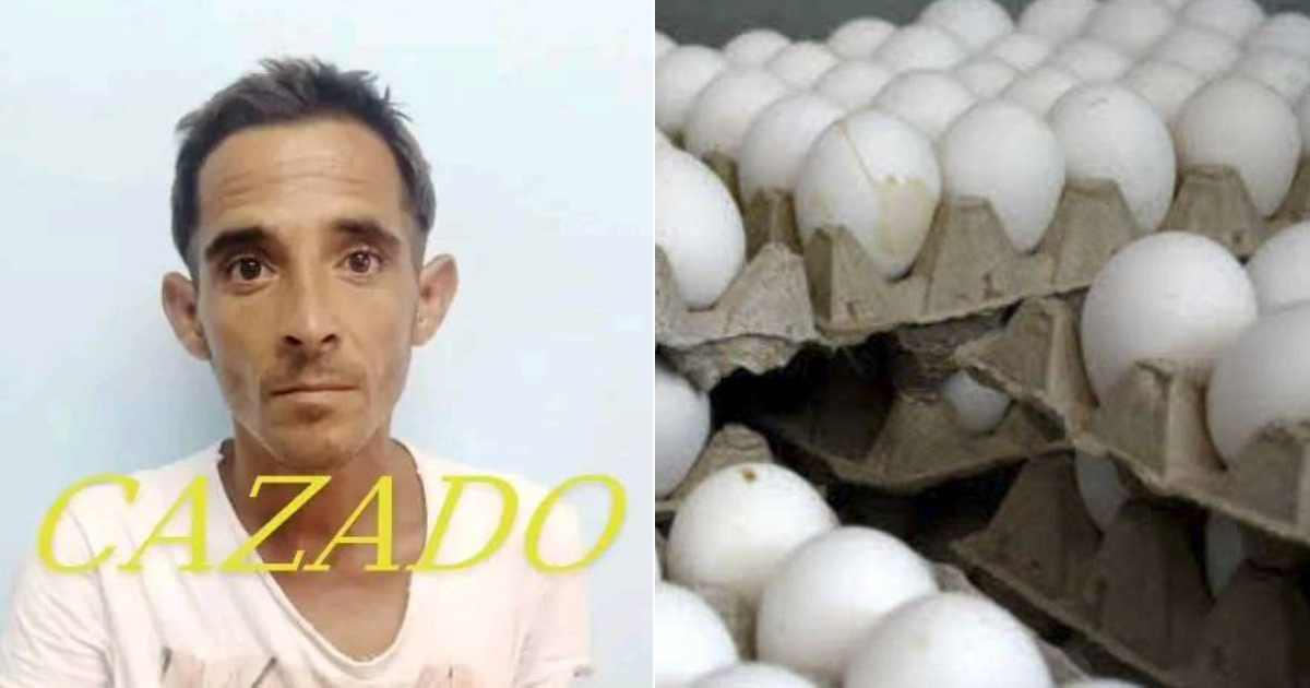 Ángel Arturo Diéguez Labrada y cartones de huevos © Cuatreros al Desnudo / Facebook y CiberCuba
