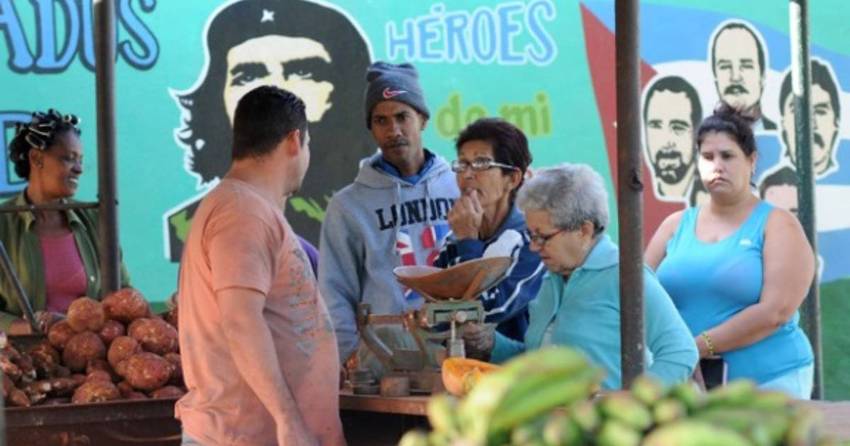 Agromercado en La Habana © Juventud Rebelde