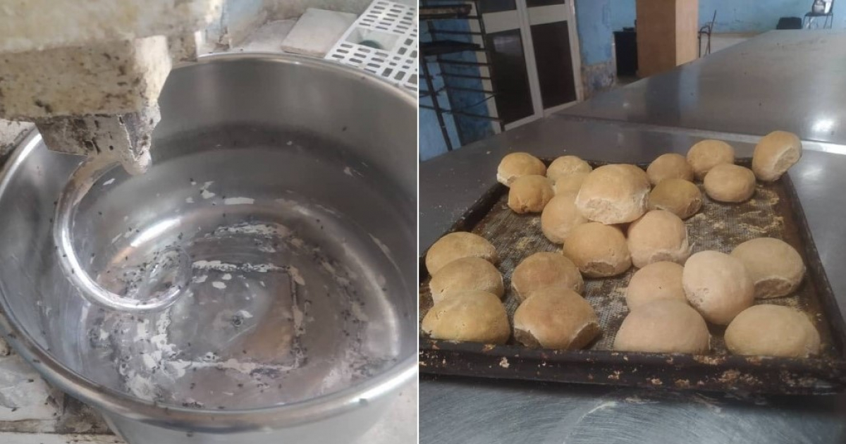 Mezcladora y panes en panadería de La Habana © Comunicador Dip / Facebook