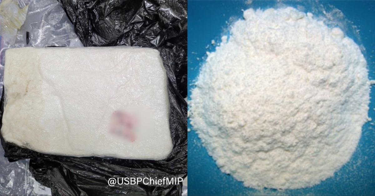 Ladrillo de cocaína valorada en 41 mil dólares y cocaína en polvo © Twitter / Walter N.Slosar y Wikimedia Commons