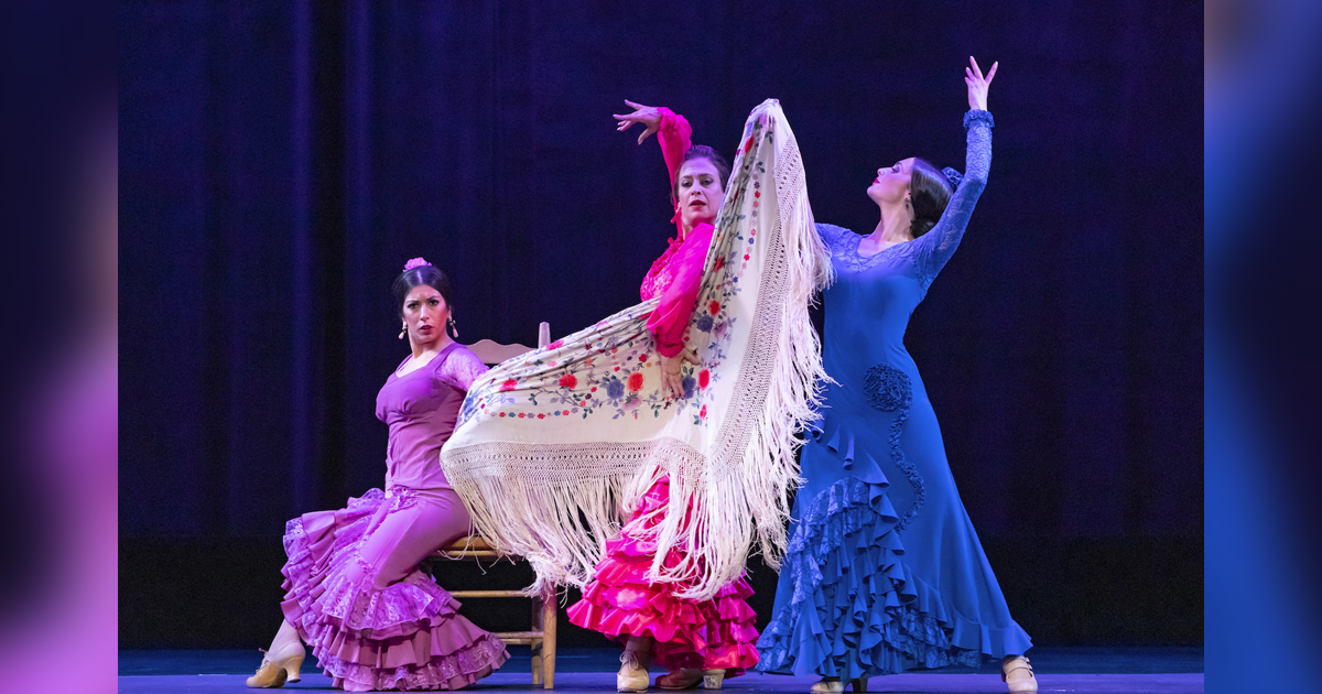 Ballet Flamenco © Las Rosas