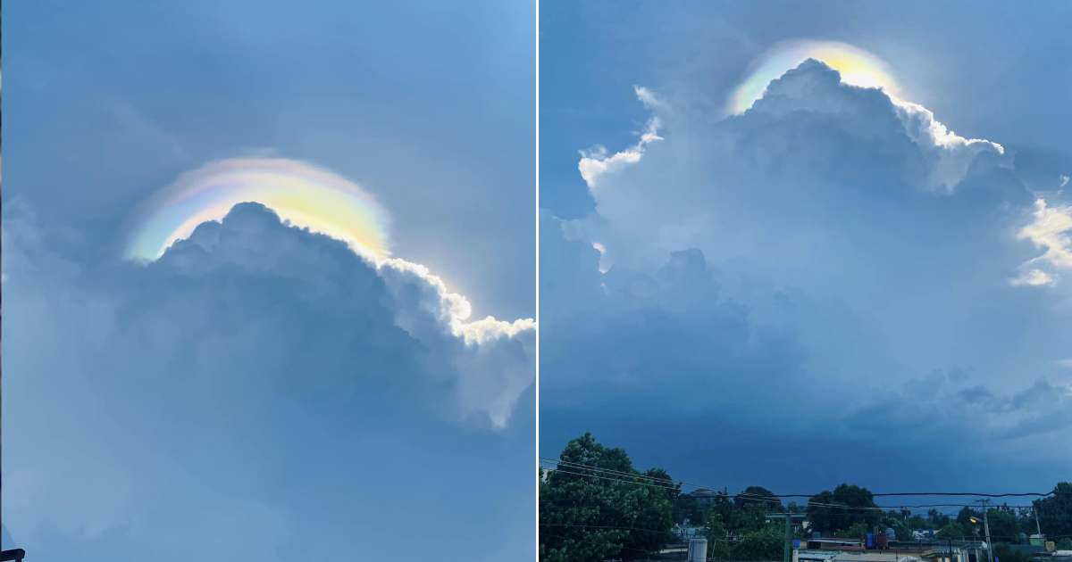 "Pileus iridiscente" © Facebook / Raydel Ruisanchez