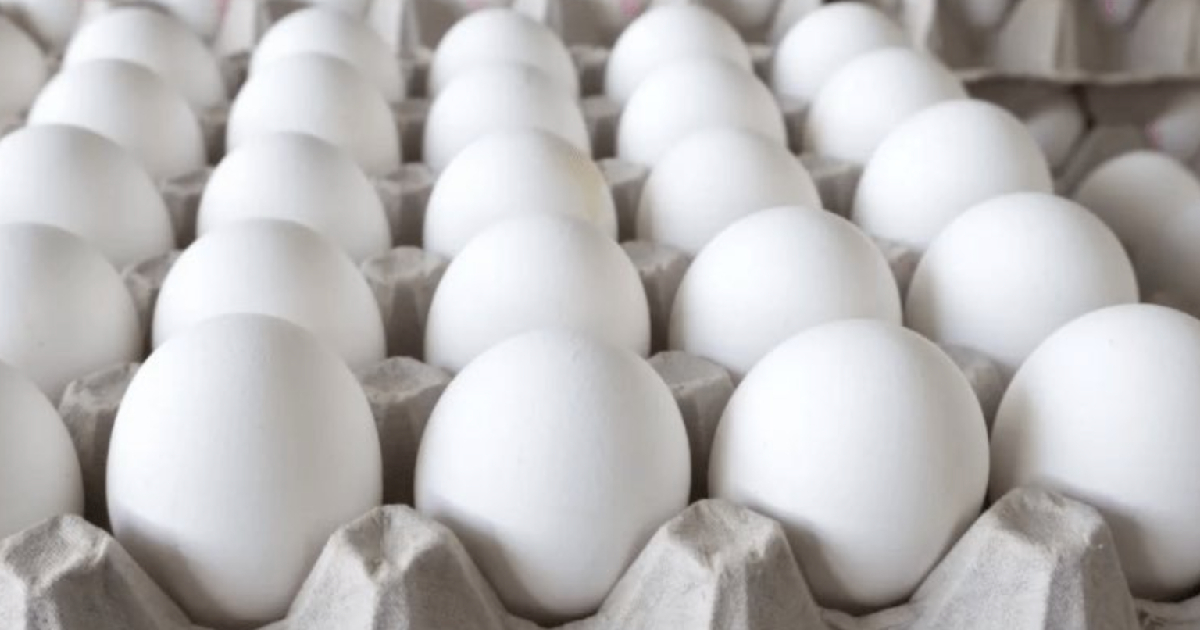 Cartón de Huevos © Despertar Nacional
