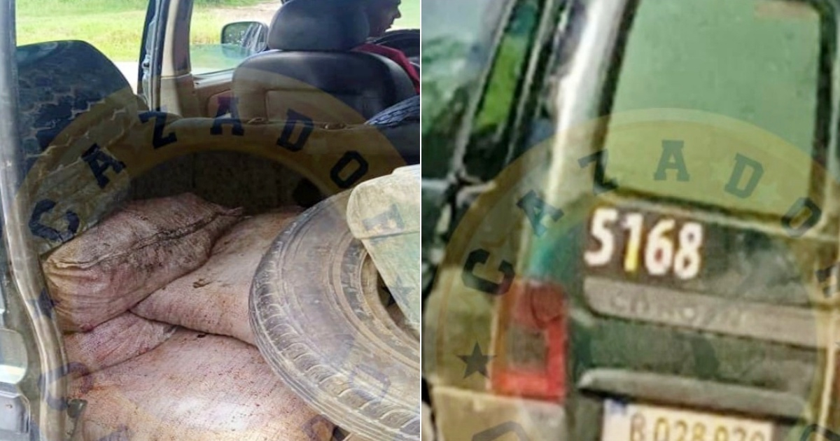 Sacos con carne decomisada (i) y Camioneta estatal de Copextel en que fue descubierta la mercancía (d) © Collage Facebook/Cazador-Cazado