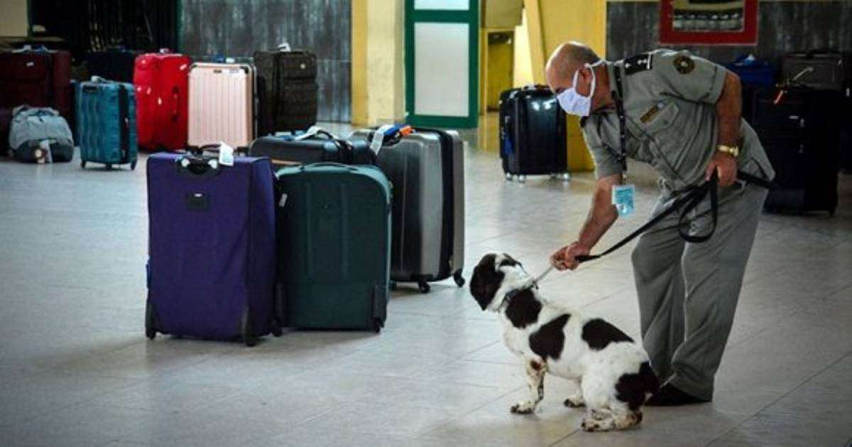 Control de drogas en el Aeropuerto de Holguín © Cubadebate