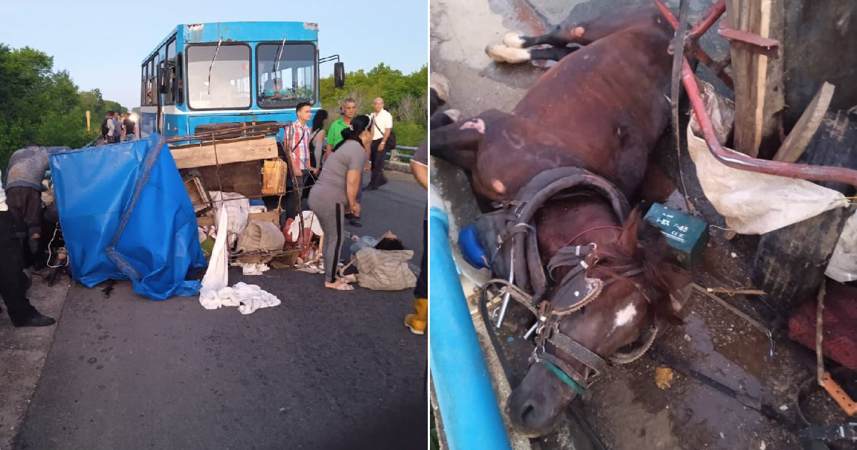 Tres personas y un caballo heridos en accidente en puente sobre el río Damují © Facebook/ACCIDENTES BUSES & CAMIONES por más experiencia y menos víctimas!
