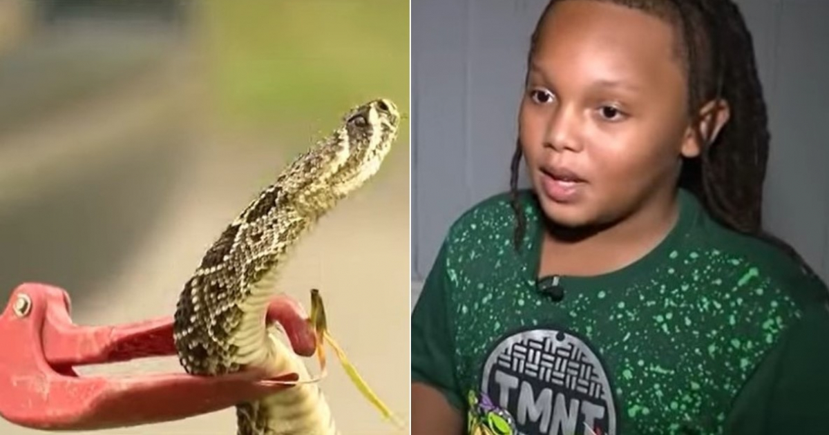 Serpiente cascabel y Angelo Owens © Captura de video de YouTube de FOX 35 Orlando
