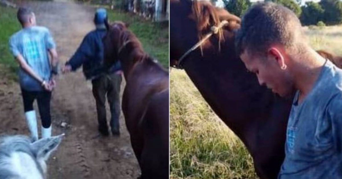 Detienen a presunto ladrón de caballos en Villa Clara © Facebook Poder del Pueblo