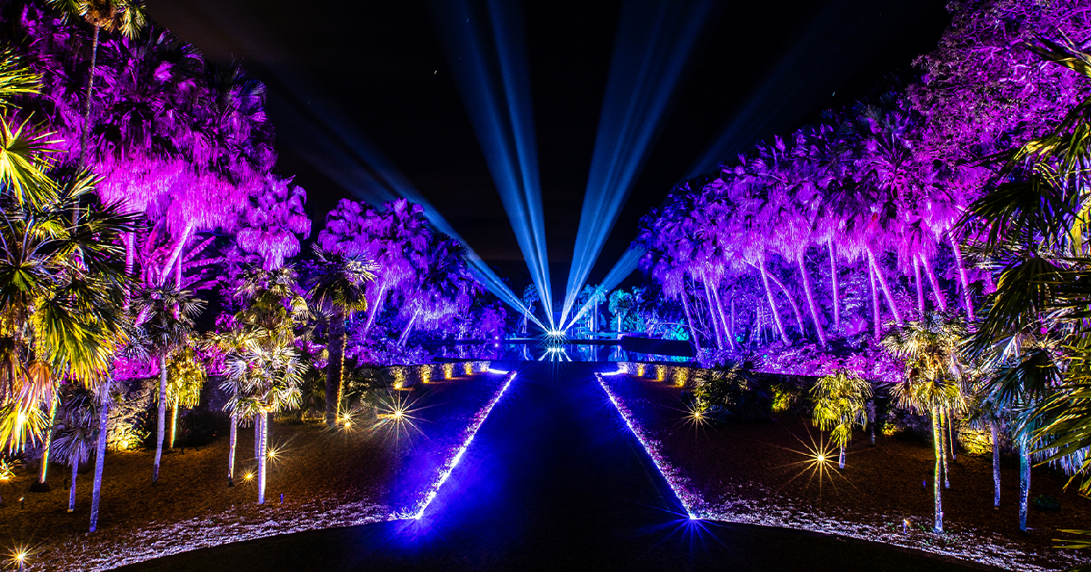 Espectáculo “NightGarden” © Fairchild Tropical Botanic Garden