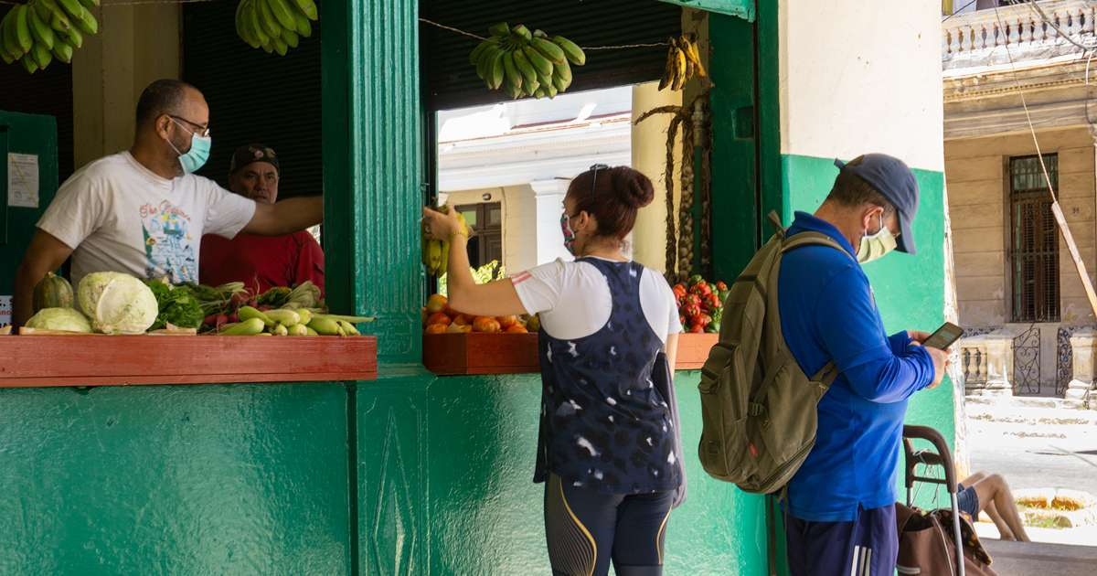 Mercado agropecuario cubano © Cibercuba