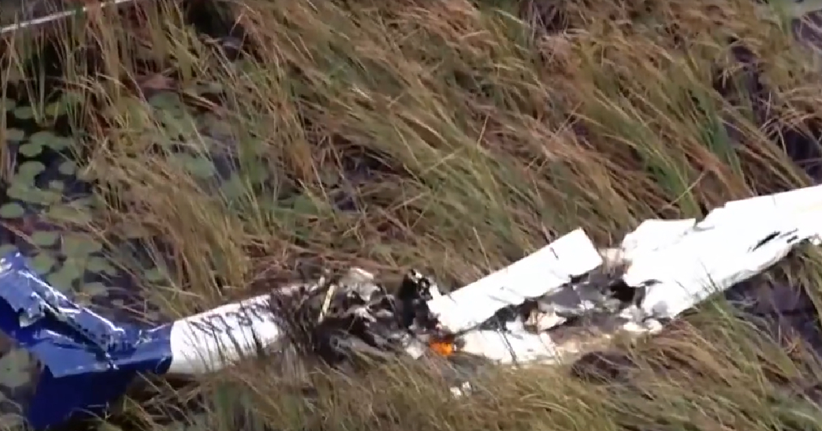 Avioneta estrellada en los Everglades © Captura de Video/Local 10 News