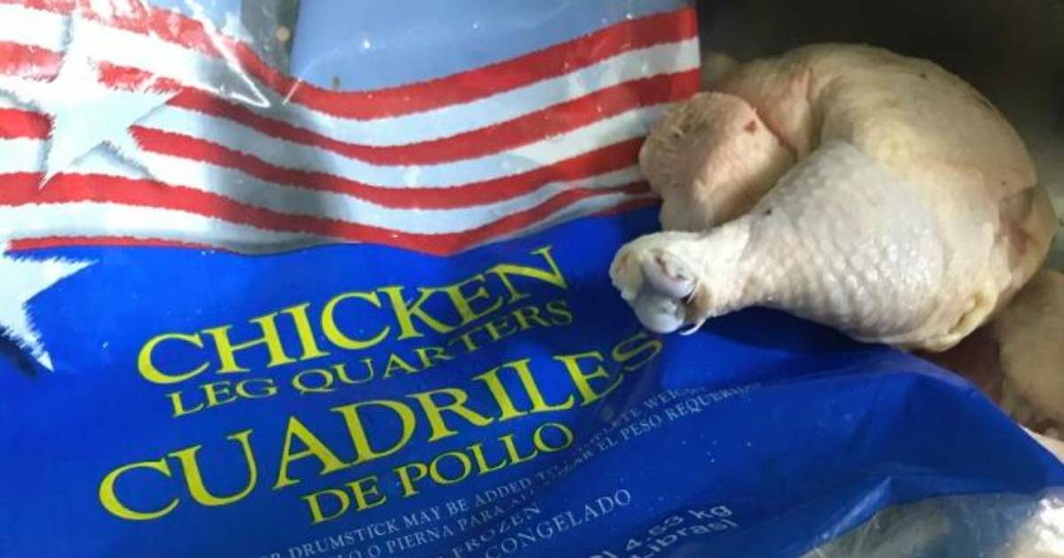 Pollo estadounidense exportado a Cuba © CiberCuba