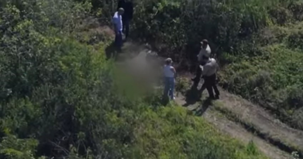 Policías en el lugar donde se encontraron los restos de los caballos © Captura de video de YouTube de WPLG Local 10