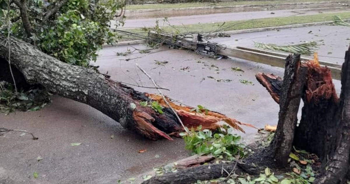 Poste y árbol caído en La Habana tras reciente fenómeno climatológico © Facebook/Etecsa Habana