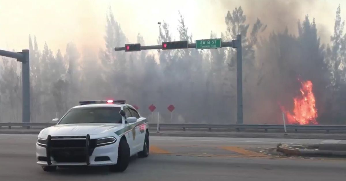 Los incendios en Miami-Dade han arrasado 270 acres de bosque. © Captura de video Telemundo