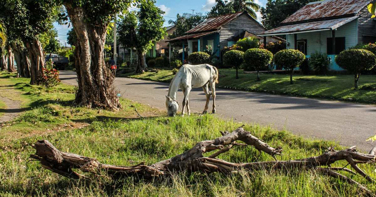 Pueblo de Hershey © CiberCuba