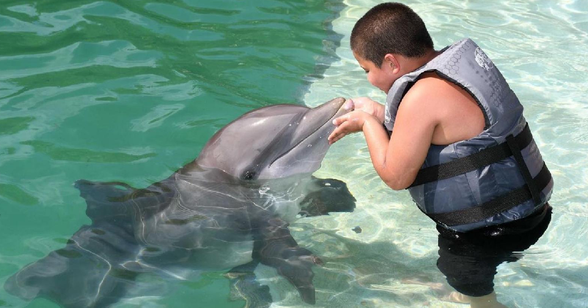 Miami Seaquarium © Facebook/Miami Seaquarium