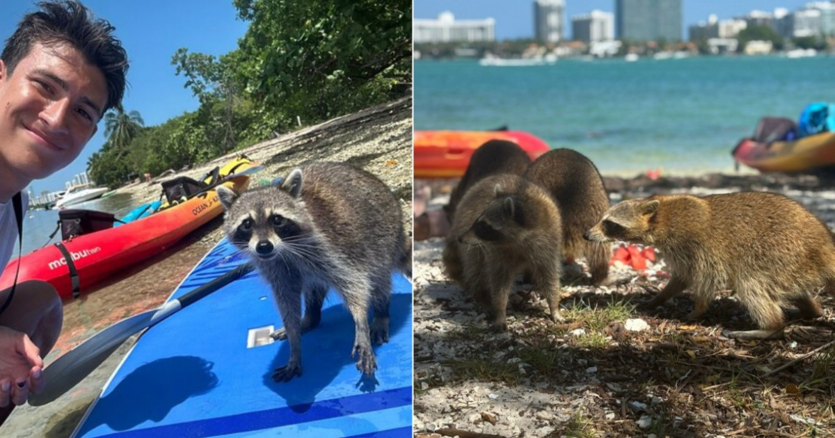 Secret Places In Miami: Raccoon Island