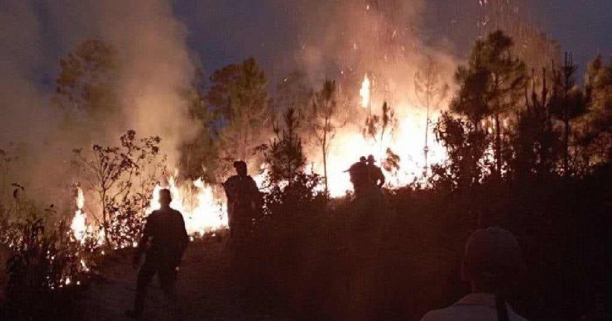 Voraz incendio en zonas boscosas del municipio de San Juan y Martínez © Facebook/Yamile Ramos Cordero