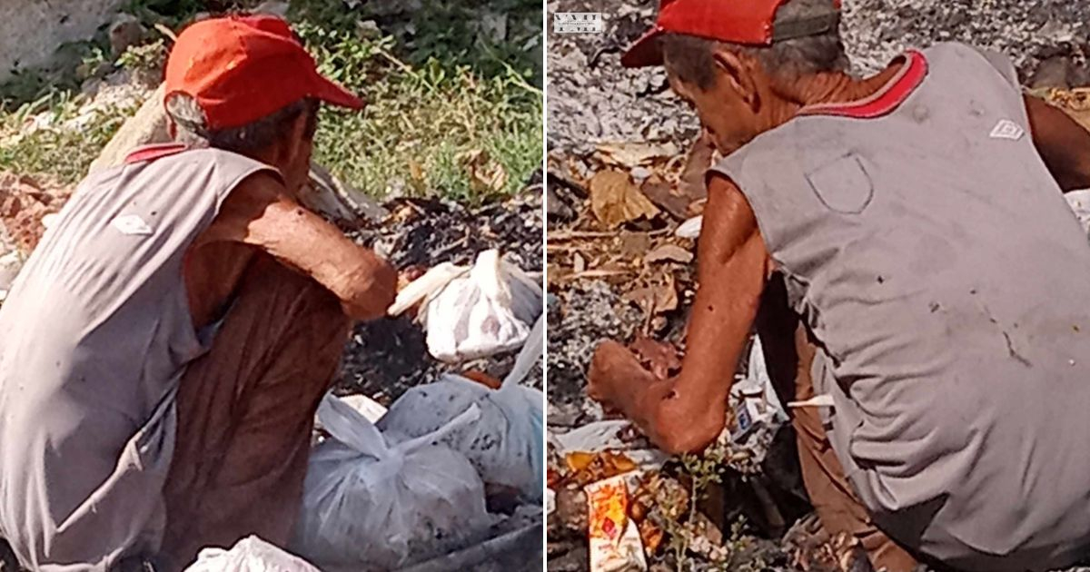 Anciano buscando comida. © Collage Facebook / Yosmany Mayeta Labrada 