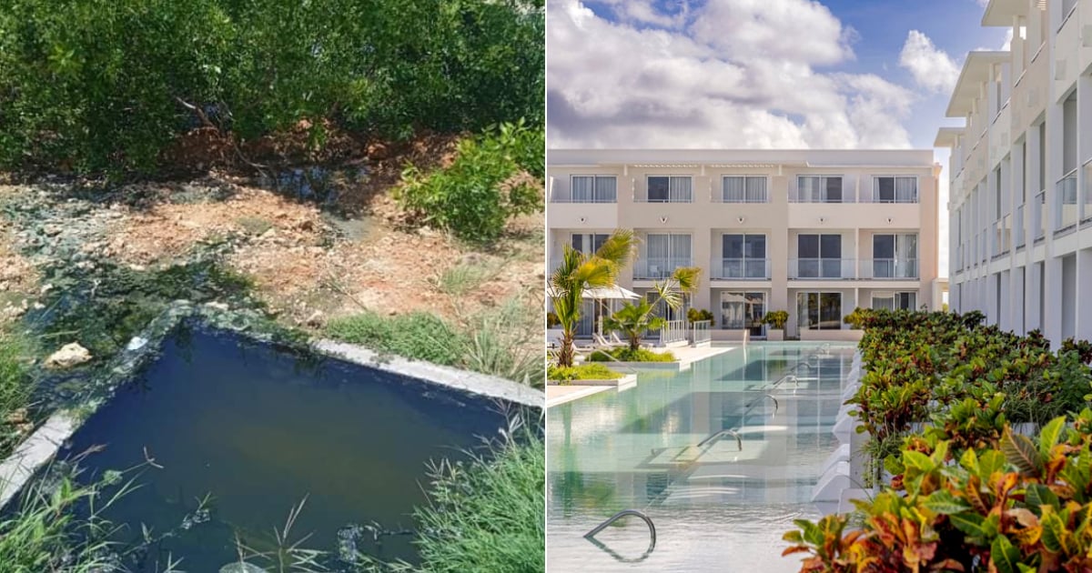 Environmental Issues Plague Meliá Hotel in Trinidad: Sewage Spill Threatens Mangroves